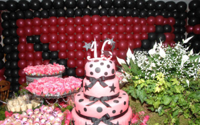 Vanessa-birthday-17
